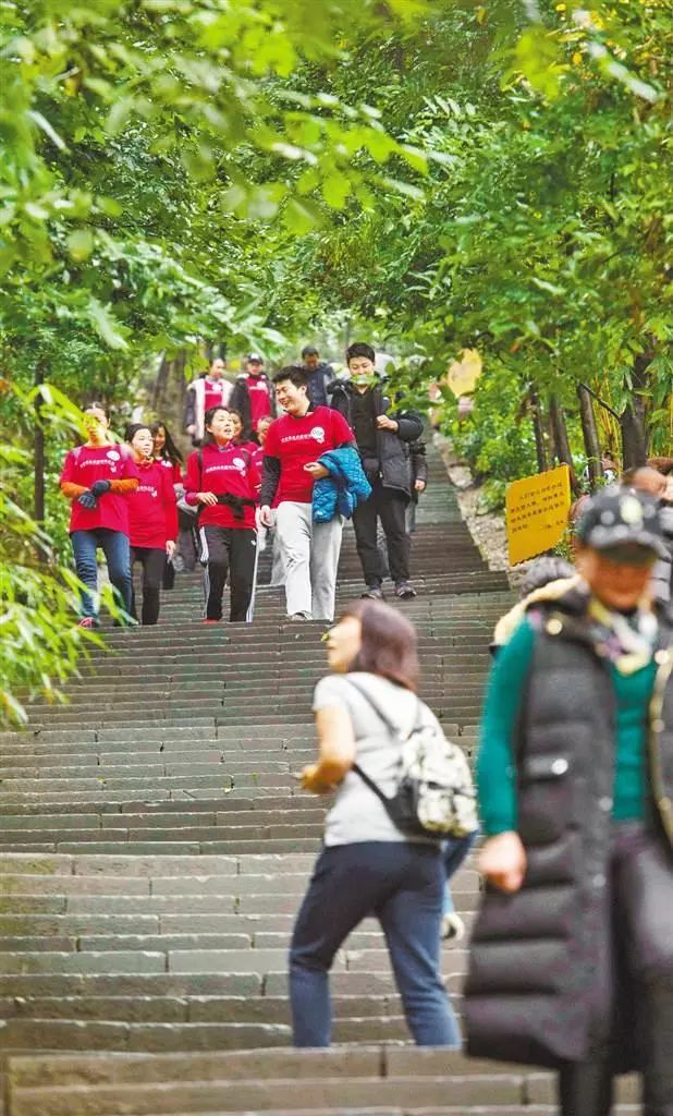 歌乐山“三百梯”：已有400年历史，曾为古代川渝商旅必经之地