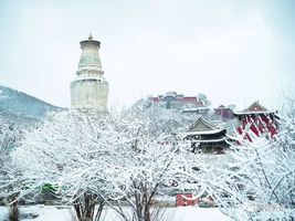 山西五台山雪后现云海景观