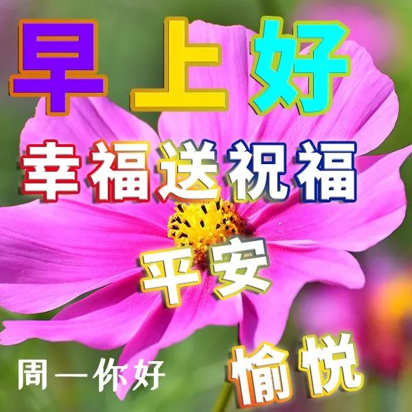 个人口号大全8个字_9字建筑工程标语(3)