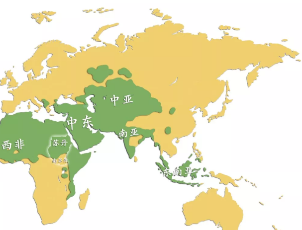 中国穆斯林人口数量_穆斯林人数最多的国家是哪两个 说出来也许你不会相信