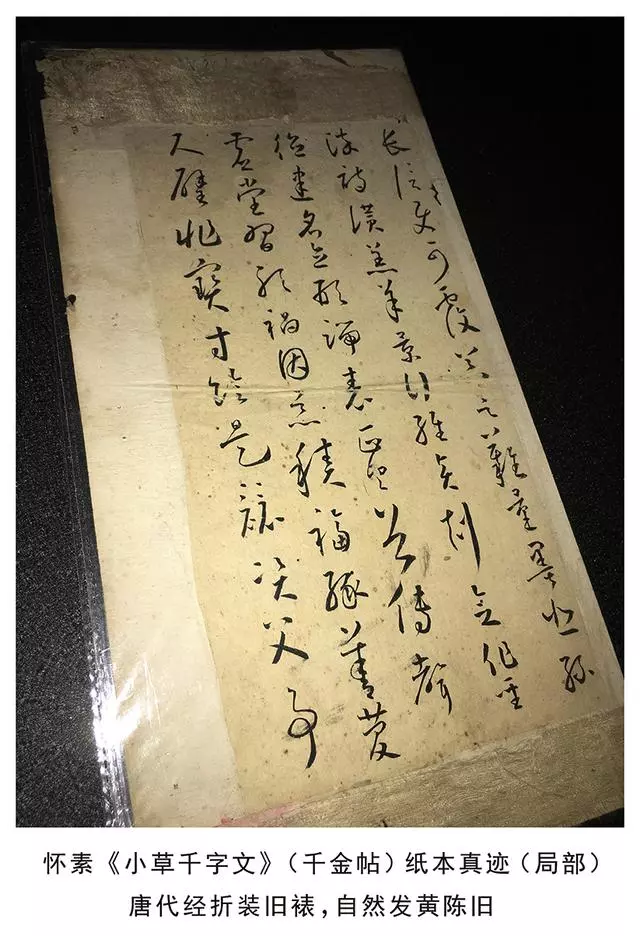 重大发现怀素小草千字文纸本真迹震撼世人