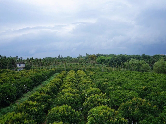 琼海市有多少人口_海南最强县级市,下辖小镇比它更有名气(3)