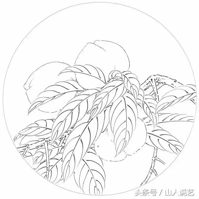 全网最全面,最漂亮的吉祥寓意花鸟画的白描大集合