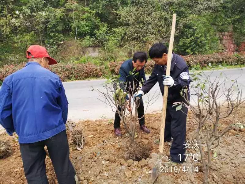 博罗县杨桥镇人口多少_博罗县杨桥镇邓国清