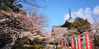 6月23 28日京都之旅 日本