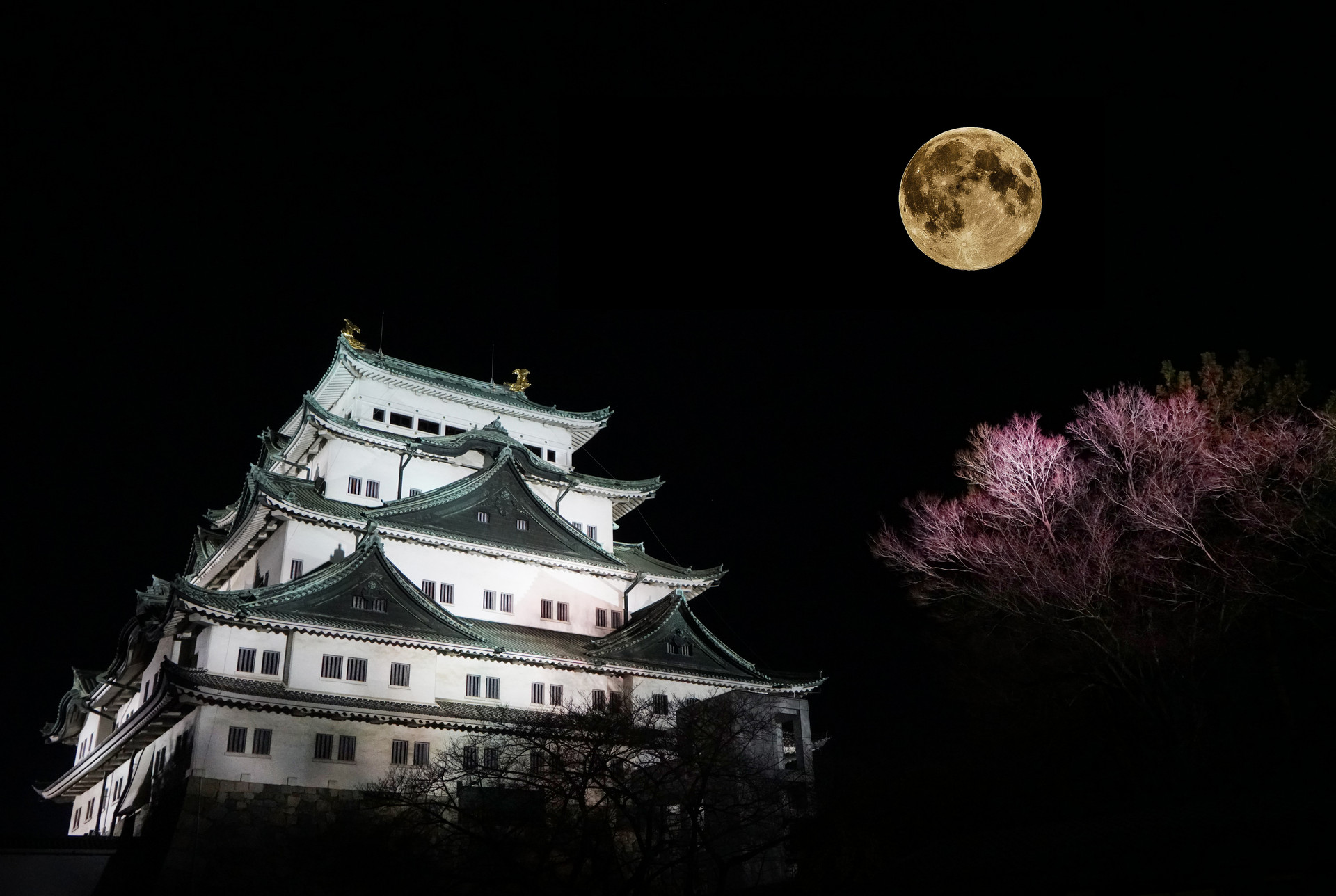 名古屋 在艺术中心升腾的绚烂夜景 令人流连忘返 进行