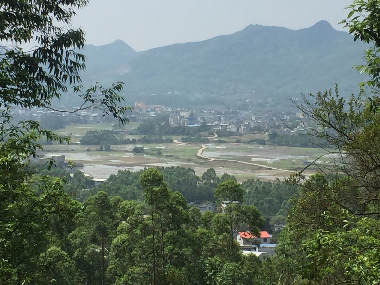 图为武宣县东乡镇达昊村一景