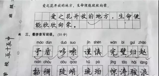 小学生工整的字体,让老师都自叹不如,这才是读书人!