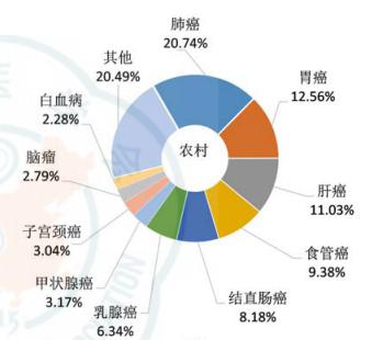 什么是标准化后人口_后位式是什么姿势图解(2)