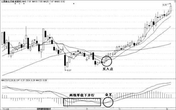 二零后人口_韭零后图片