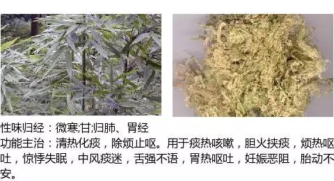 史上最全中草药图谱附主治功效