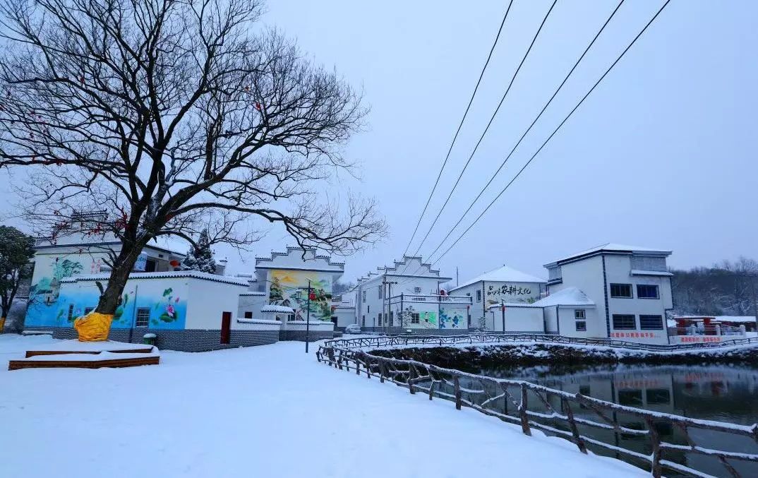 其中湖口县武山镇王常村