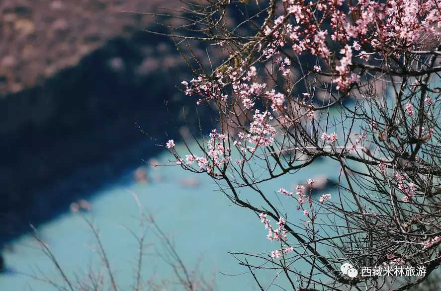 峡谷一世桃花梦 | 天青色等烟雨,而我在等你