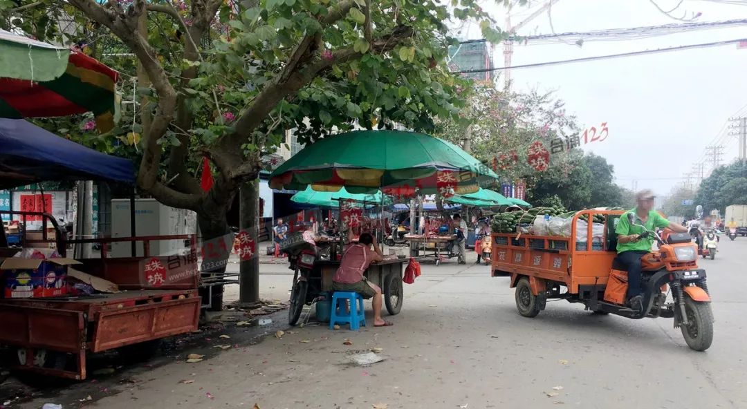 合浦县有多少人口_一人你饮酒醉,醉把汽车开报废,名单新鲜出炉 合浦又有几百