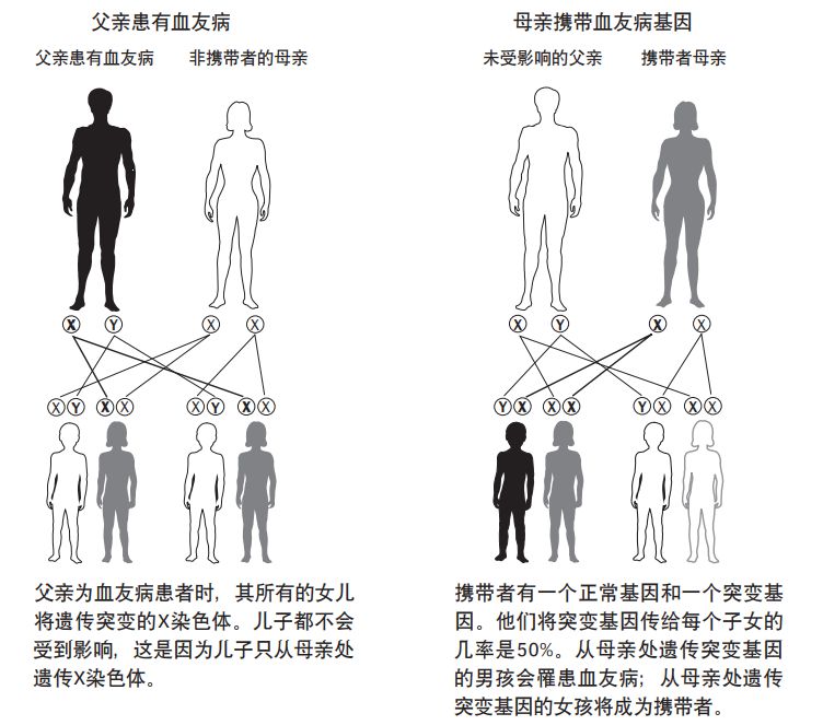 第31个世界血友病日|伸出援手—关心的第一步