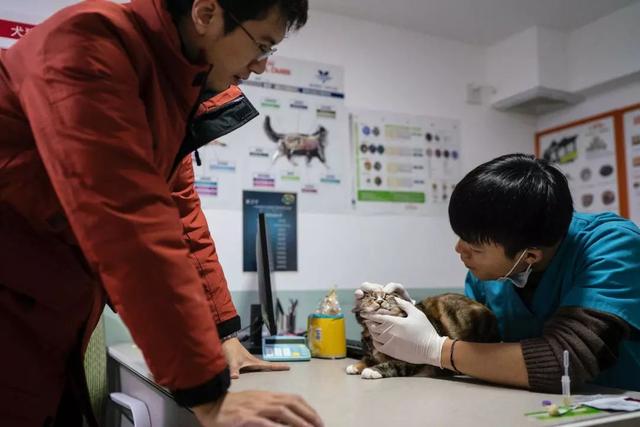 广州市这位老师自掏腰包救助流浪动物,甘做它们的守护天使_徐嘉明