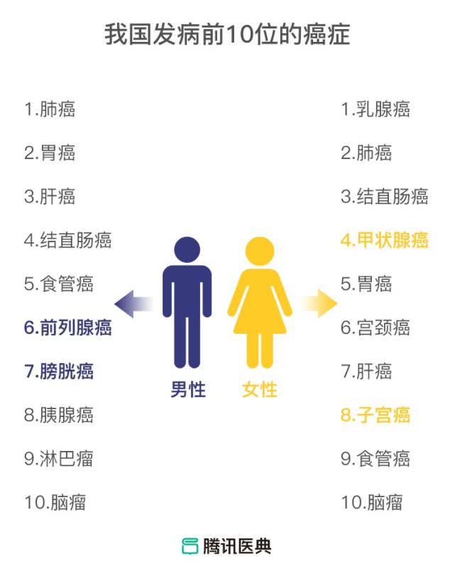 3.乳腺癌在女性中发病率第一,但生存情况比其他几大癌好苘多.