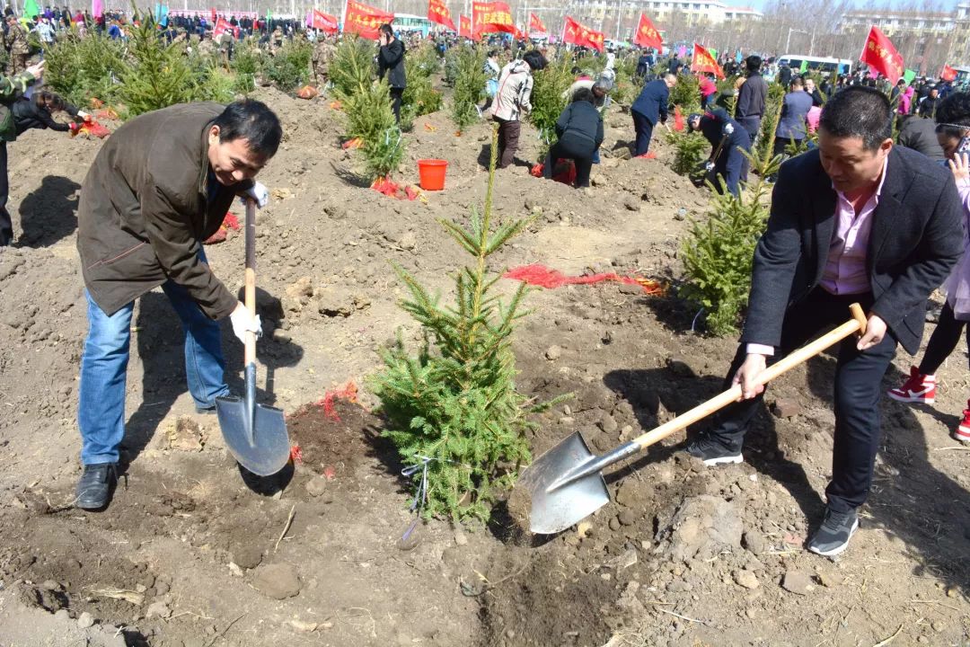 鹤岗市总工会工创空间组织入驻企业参加义务植树活动