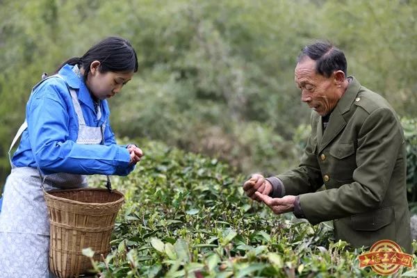 盐池有多少人口