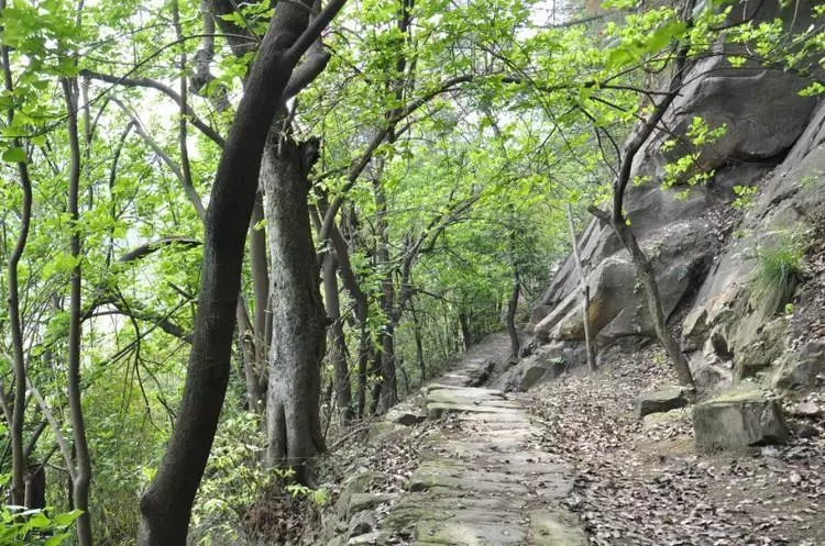 北碚镇上有多少人口_北碚天府镇地图