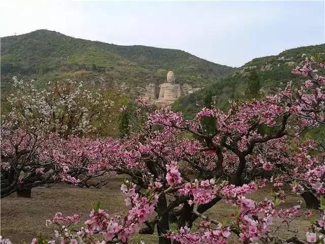 尊龙凯时人生就是博官网世界上最早的石刻佛像1400年历史如今一支香收费达400元(图5)