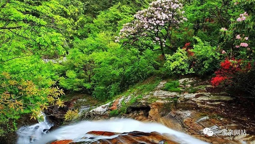 4月19日-大别山鹞落坪,云海仙境多支尖穿越,十里画廊大峡谷,赏高山