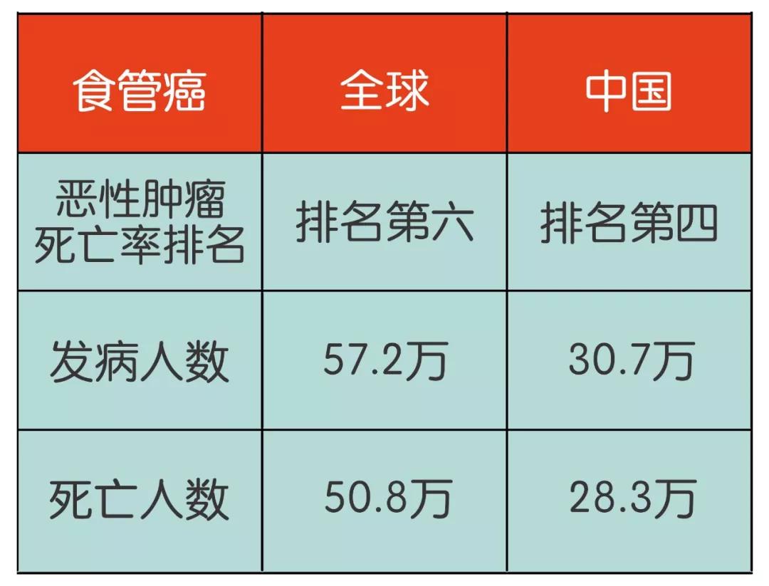 食管癌是一种常见的消化道肿瘤,顾名思义也就是食管上发生了病变引发