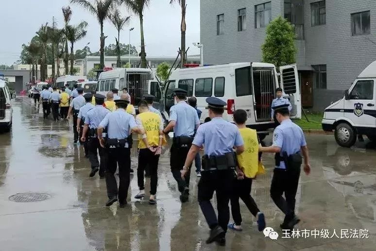 博白县人民法院依法对被告人叶富林等31人组织,领导,参加黑社会性质