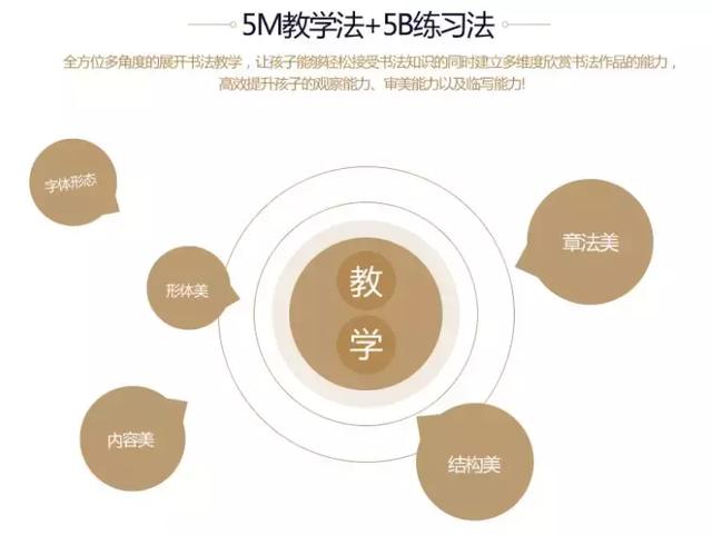 科学进阶式课程体系