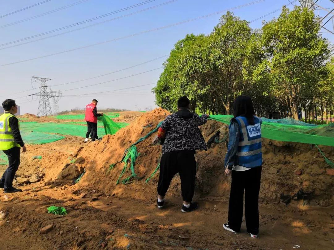 郑州打造生态廊道防护林 打造四季常绿、三季花香的流动景观-大河报网