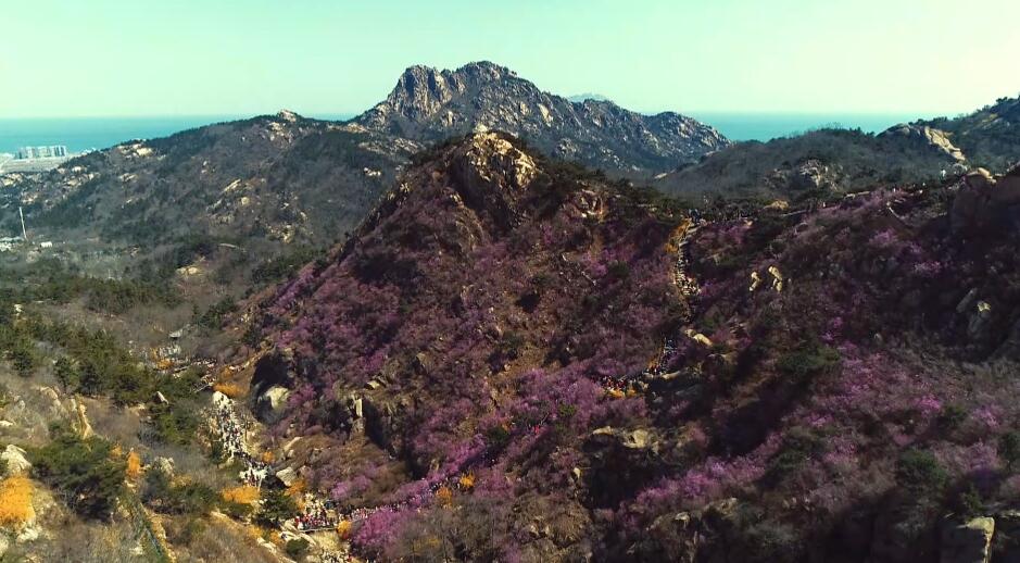 《中國村莊》之珠山秀谷杜鵑花 旅遊 第1張