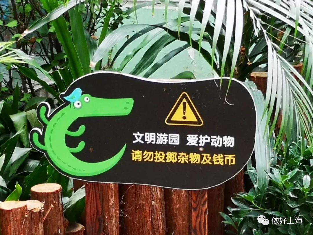最近,上海动物园曝光了一批游客不文明投喂的照片: 小侬只想说: 这样