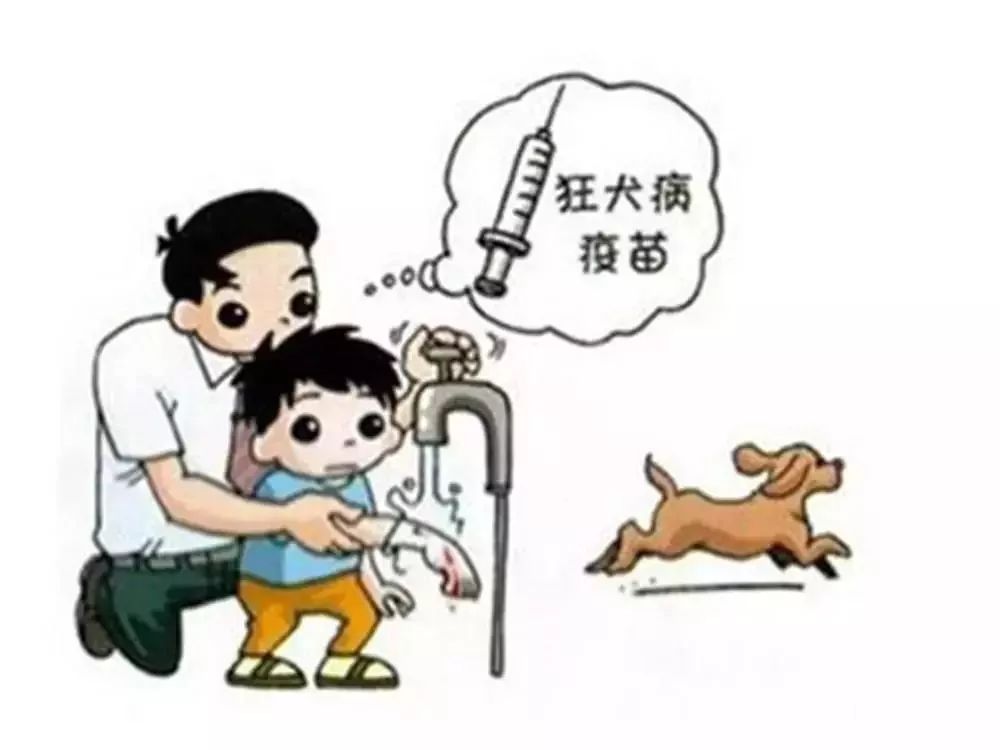 犬伤门诊正式开诊!动物咬伤,抓伤不用愁