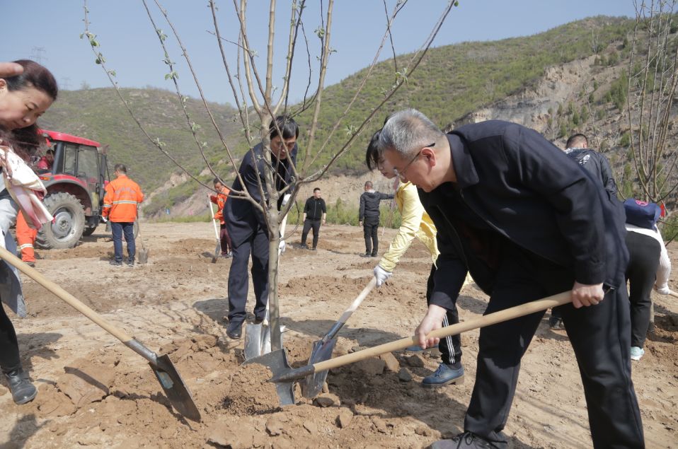 金胜镇人口_点金胜手黄宗泽