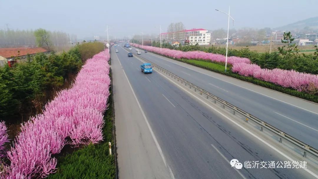 图二:2018年327国道费县段春景