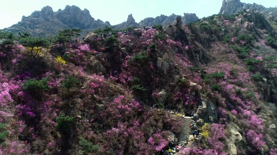 《中國村莊》之珠山秀谷杜鵑花 旅遊 第2張