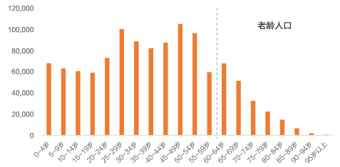 分年龄人口数_人口年龄金字塔图(3)