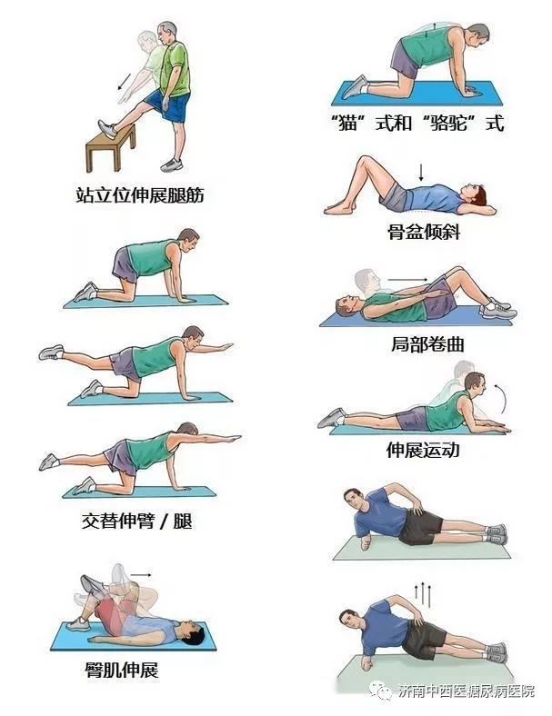 大家不妨学习一下以下这些运动,对于减轻腰部不适以及预防腰肌劳损有
