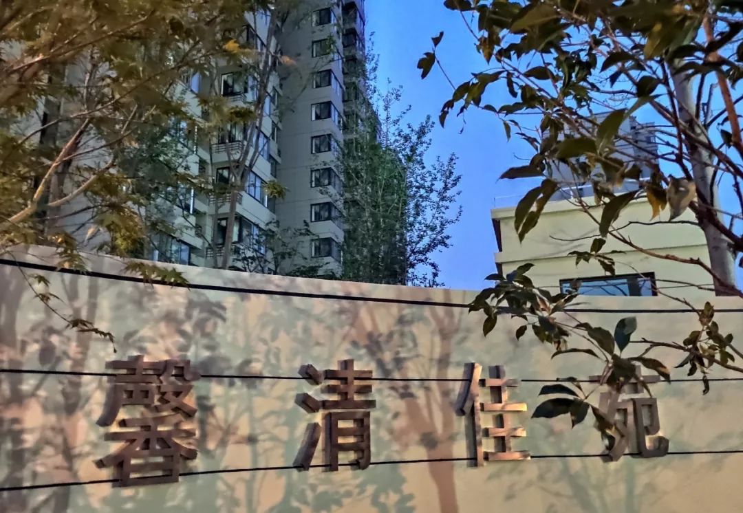 417菊泉街f4地块小区名叫馨清佳苑宝山区关于促进乡村民宿发展的指导