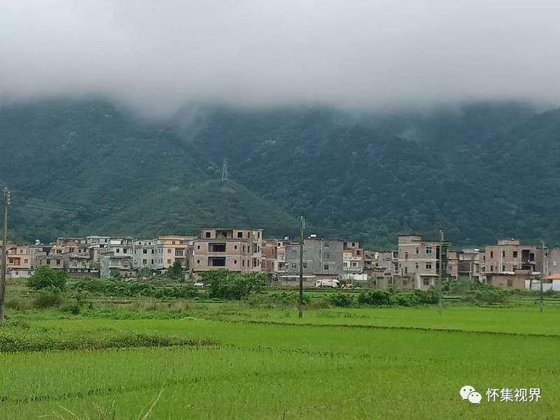 邯郸广平县东张孟乡张洞村人口_邯郸广平县富硒(3)