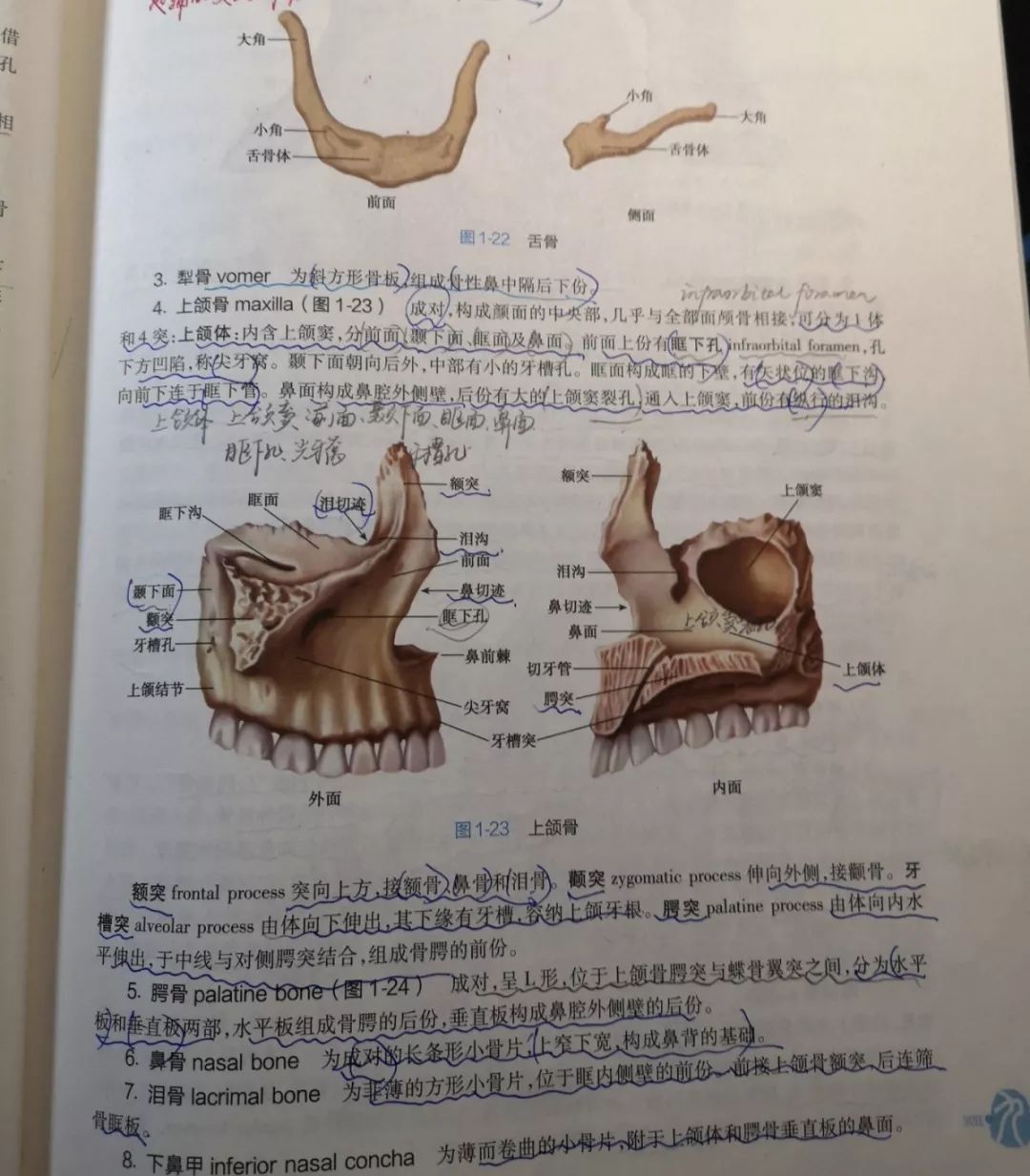 断层影像解剖学是用断层方法研究和表达人体正常形态结构及其基本功能