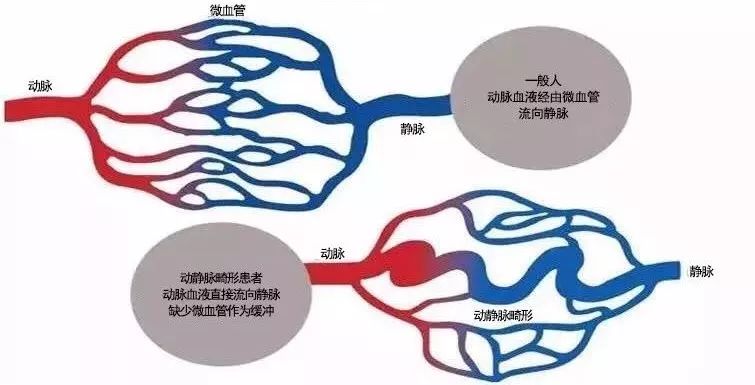 神经外科招聘_招聘 2021年北京大学第三医院神经外科博士后(5)