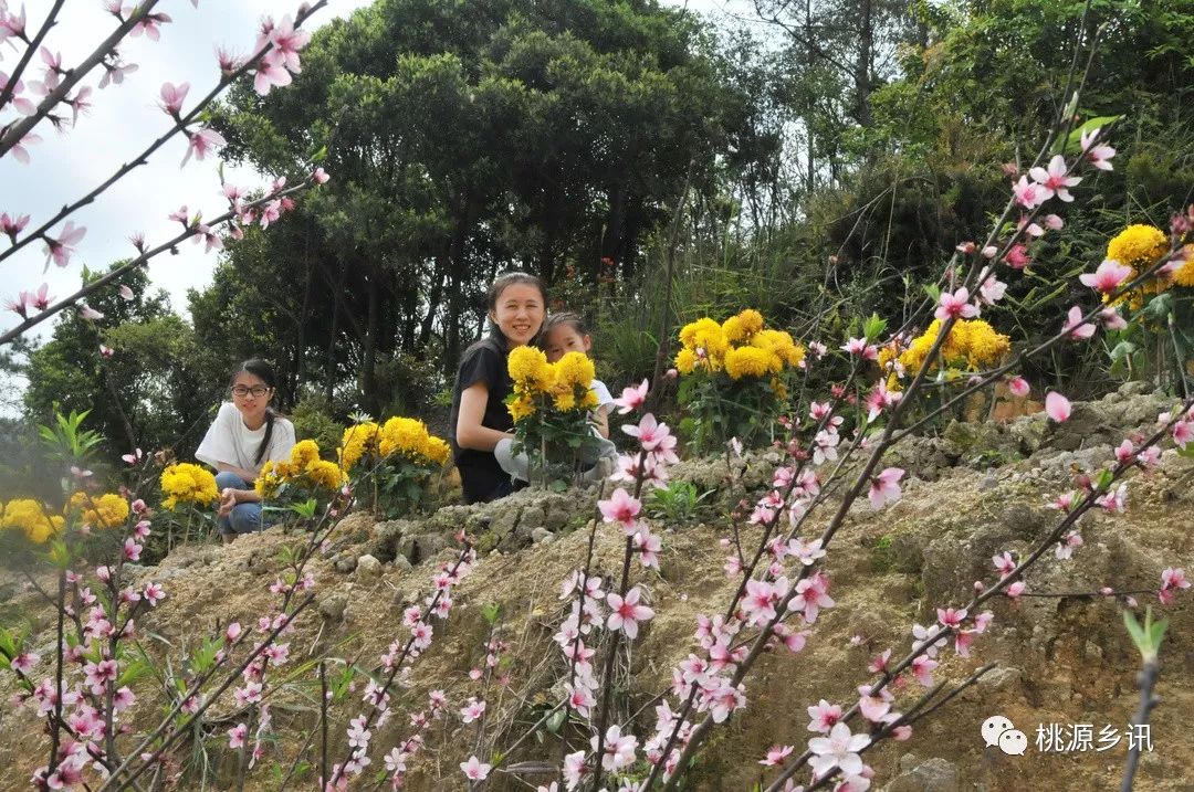 永春外山这个村,隐藏着一片"桃花源!