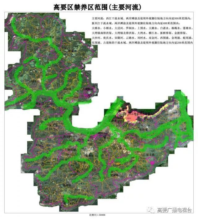 高要市人口_高要市大洞村图片(2)