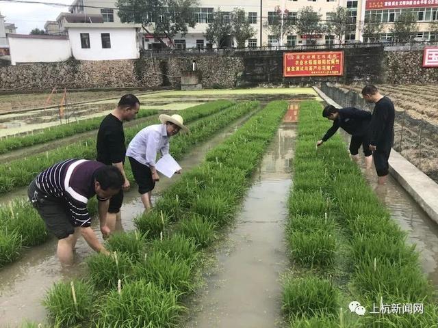 上杭茶地镇人口_上杭古田镇派出所(2)