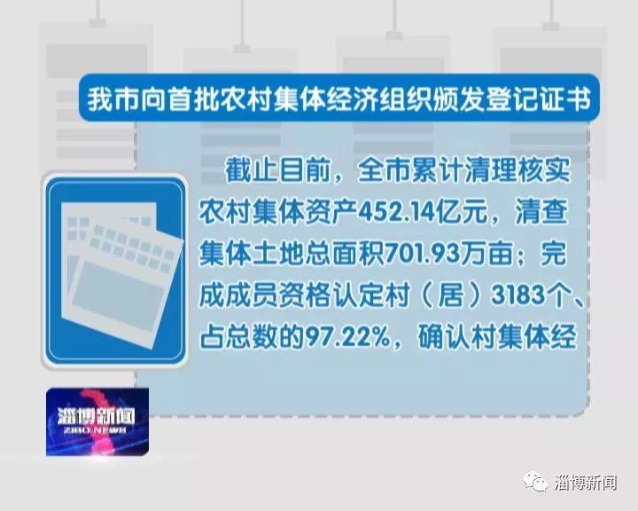 村集体经济资产总量是指_资产负债表(2)