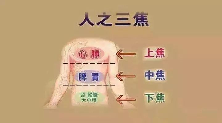 杏林养生三焦不通老病缠身打通三焦一身轻松