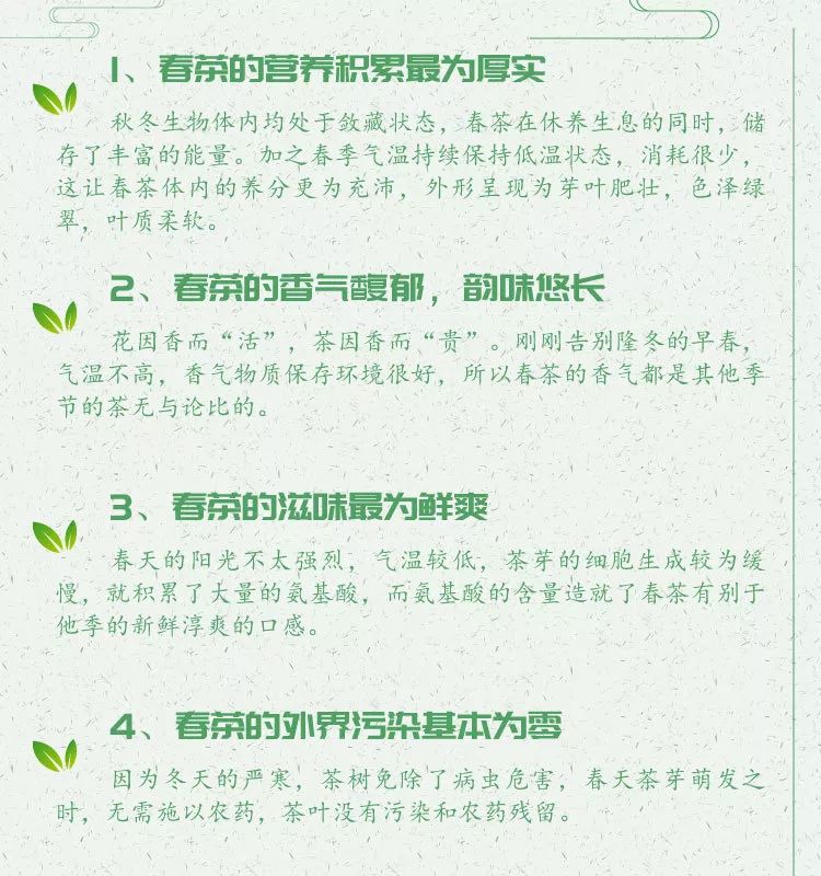 春茶简谱_儿歌简谱(2)