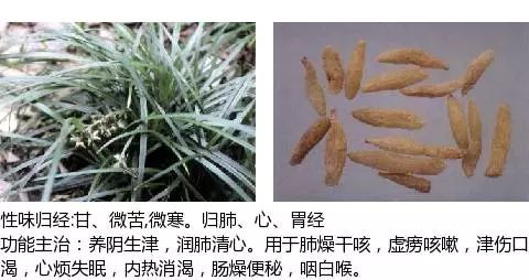 最全中草药图谱,附主治功效(吐血整理,建议收藏)