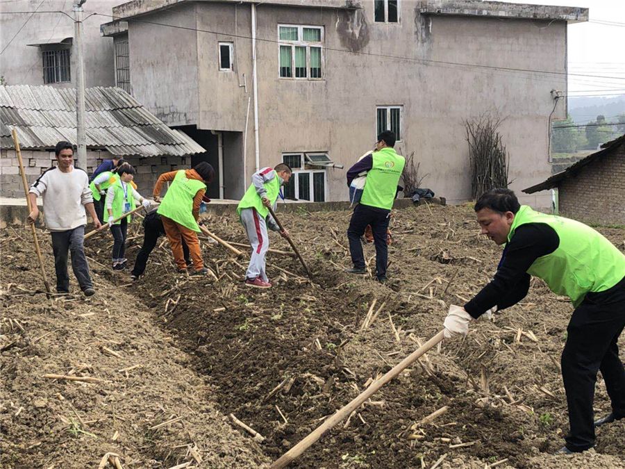 【脱贫攻坚"心连心"志愿者助力爱心洒西瓜种植基地_谢小元